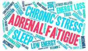 Adrenal Fatigue Organic Herbal Tincture/Extract