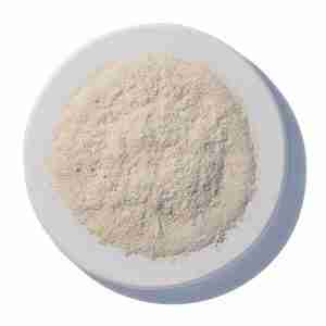 Astragalus Root Powder Organic [1oz]