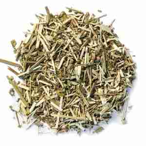 Blue Vervain [1 oz.]