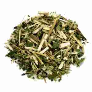 Boneset Herb [1 oz.]