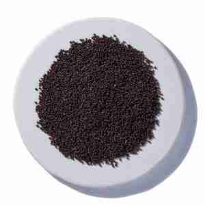 Broccoli Sprouting Seeds [1 oz.]