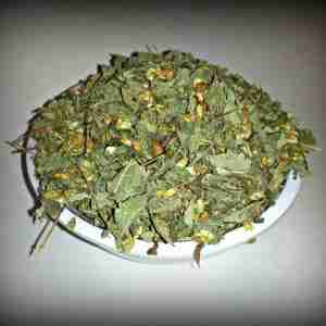 Calea Zacatechichi (Dream Herb) Wildcrafted [1 oz.] #1