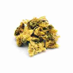 Chrysanthemum Flowers [Yellow], Whole