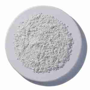 Diatomaceous Earth [1 oz.]