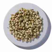 Jasmine Flower Buds, Whole