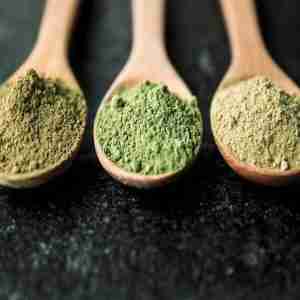 Hirsuta Blend Mitra Speciosa Veins (Kratom),  Powder
