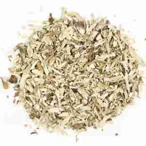 Teasel Root Wild Harvested , Cut & Sifted [1 oz.]
