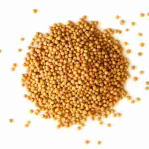 Mustard Seed,  Yellow  Whole [1 oz.]