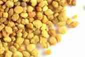 Bee Pollen Granules [1 oz.]