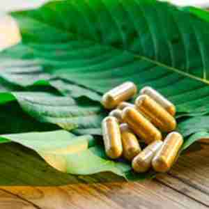Gold Mitra [100 Capsules]