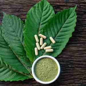 Green Mitra  100 Capsules