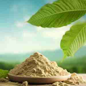 Yellow Mitra, Powder [50g]