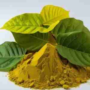 Gold Mitra [50g]