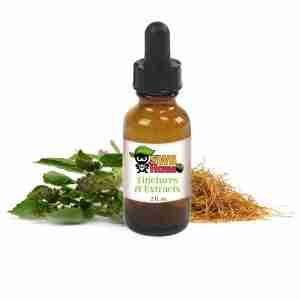 Cat's Claw & Holy Basil Organic Herbal Tincture/Extract Blend
