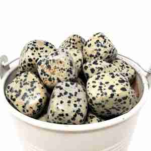 Dalmatian Jasper  Tumbled Gemstone
