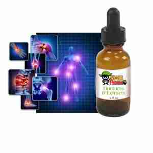 Fibromyalgia Support  Daytime Organic Herbal Tincture/Extract