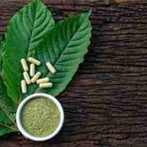 Blended Mitra Speciosa Veins (Kratom), Capsules [100 caps.]