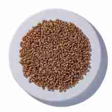 Wheat Grass Sprouting Seed [1 oz.]